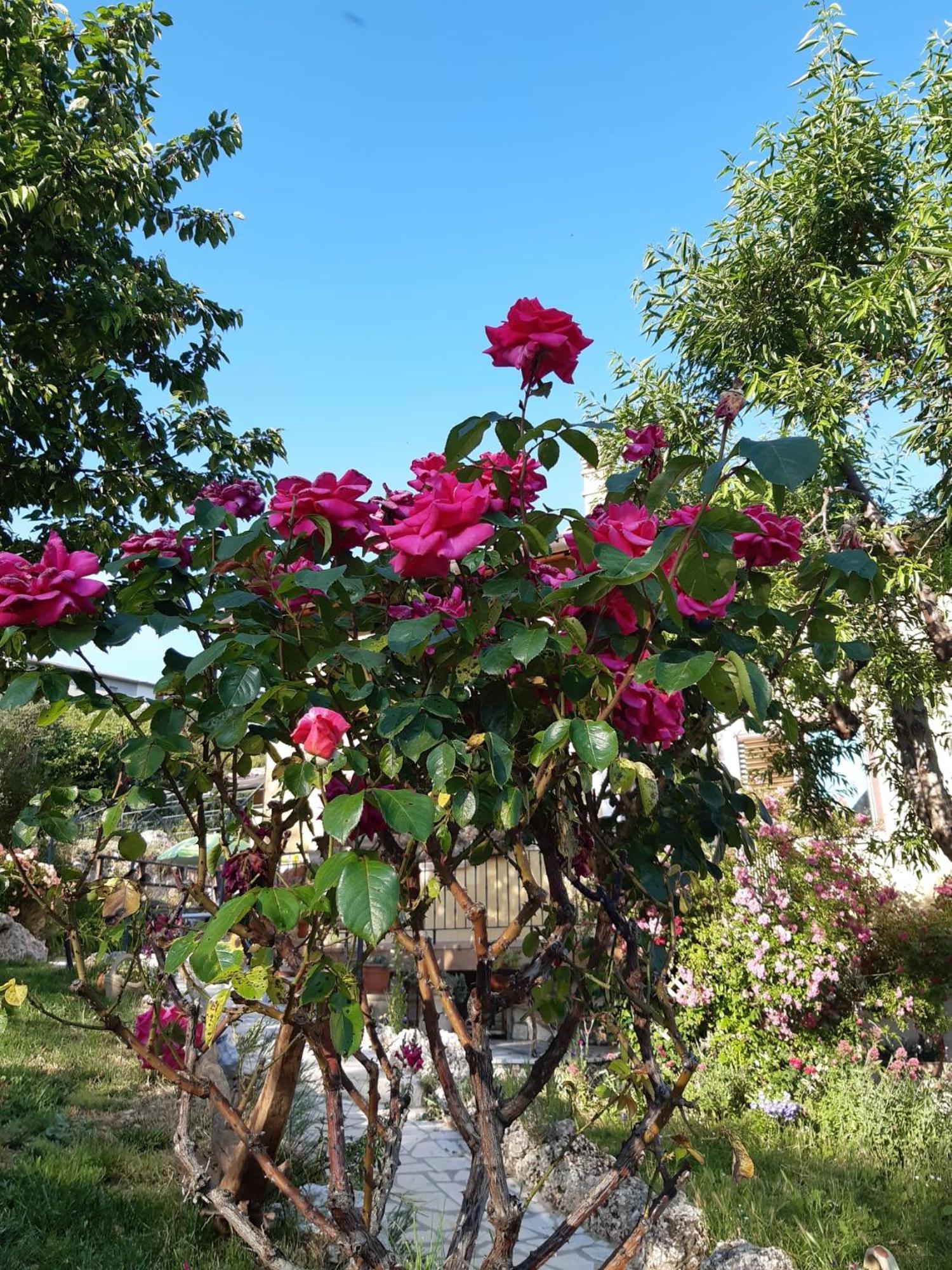 Il Girasole Bed & Breakfast Castelvecchio Calvisio ภายนอก รูปภาพ