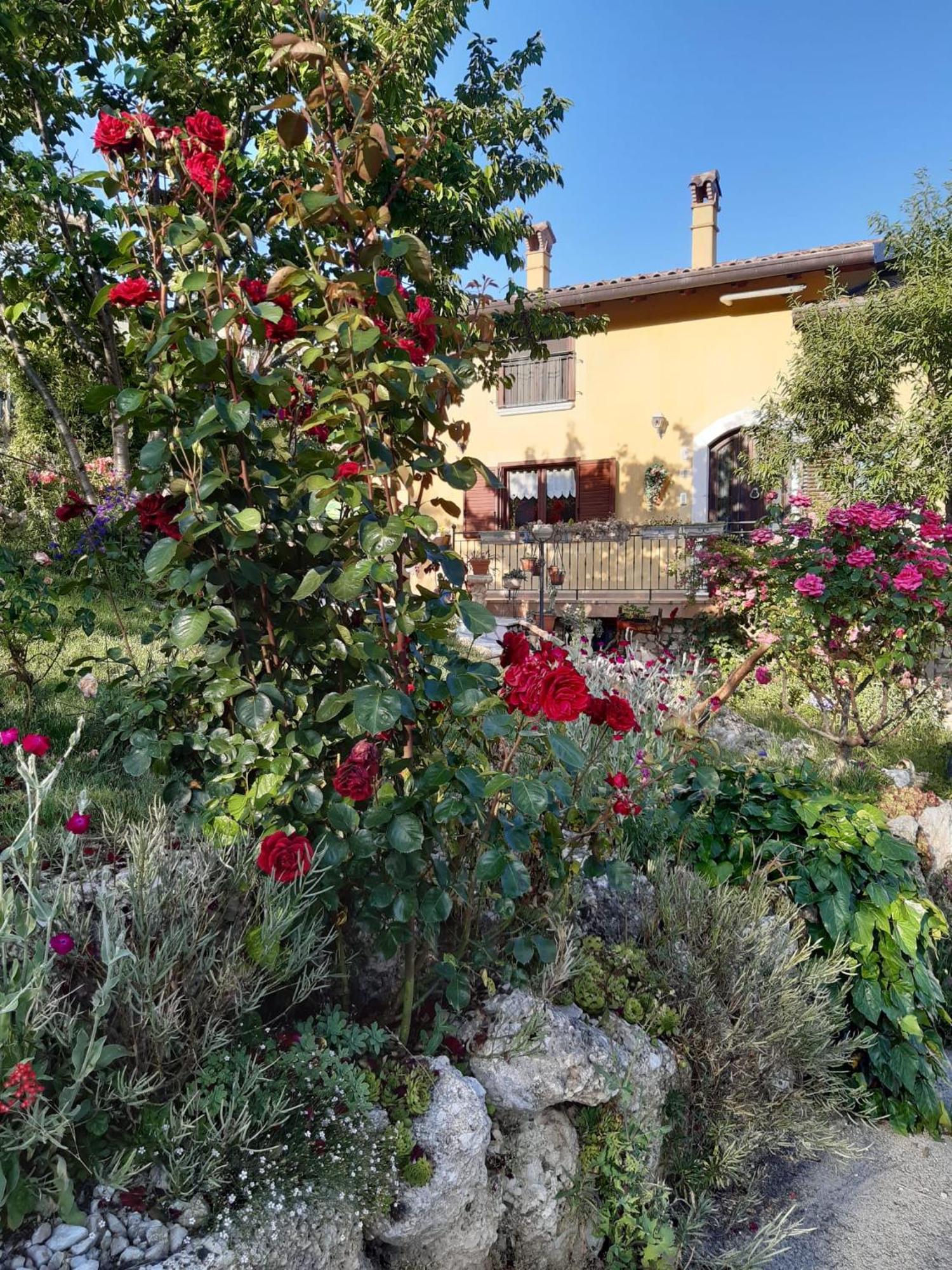 Il Girasole Bed & Breakfast Castelvecchio Calvisio ภายนอก รูปภาพ