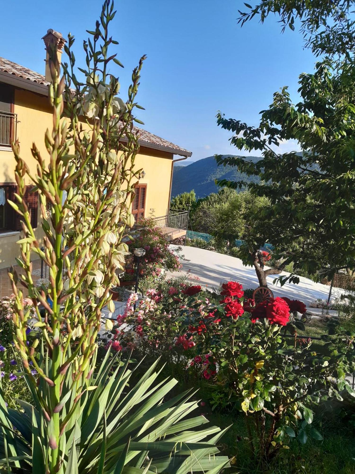 Il Girasole Bed & Breakfast Castelvecchio Calvisio ภายนอก รูปภาพ